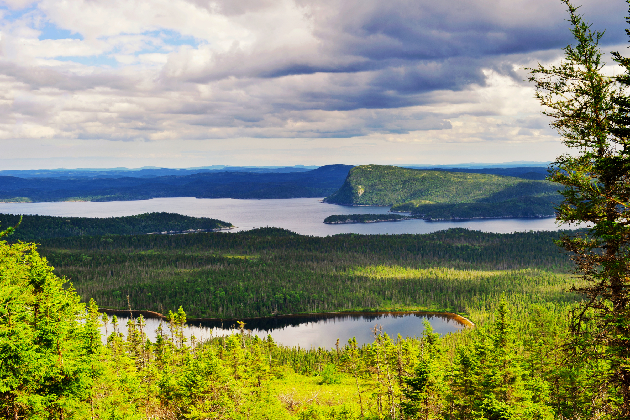 terra nova national park, newfoundland.webp